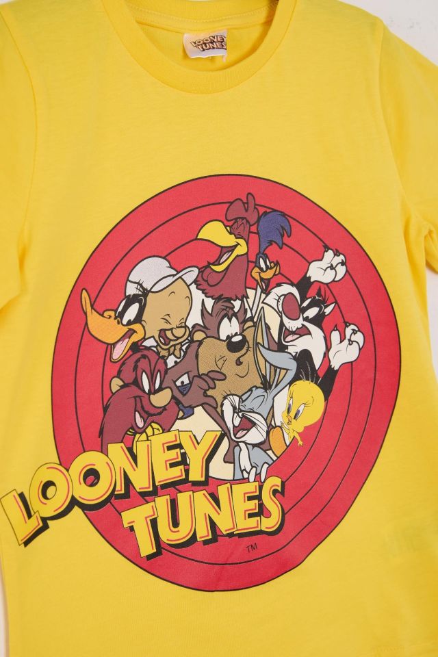 Looney Tunes Tshirt Sari