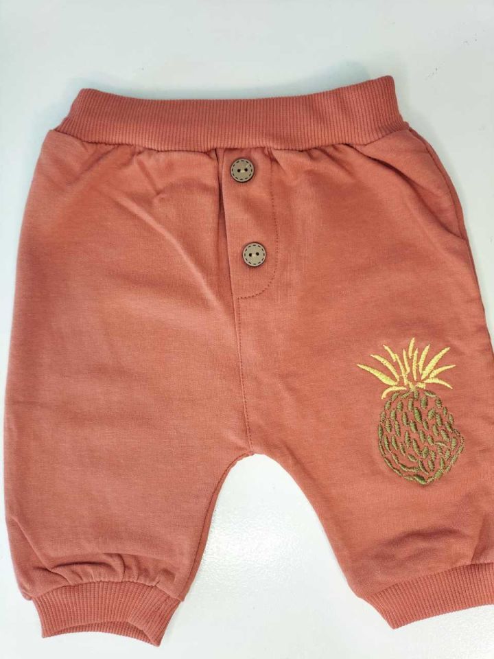 Ananas Baskı Önlüklü Bebek Takım 18-24