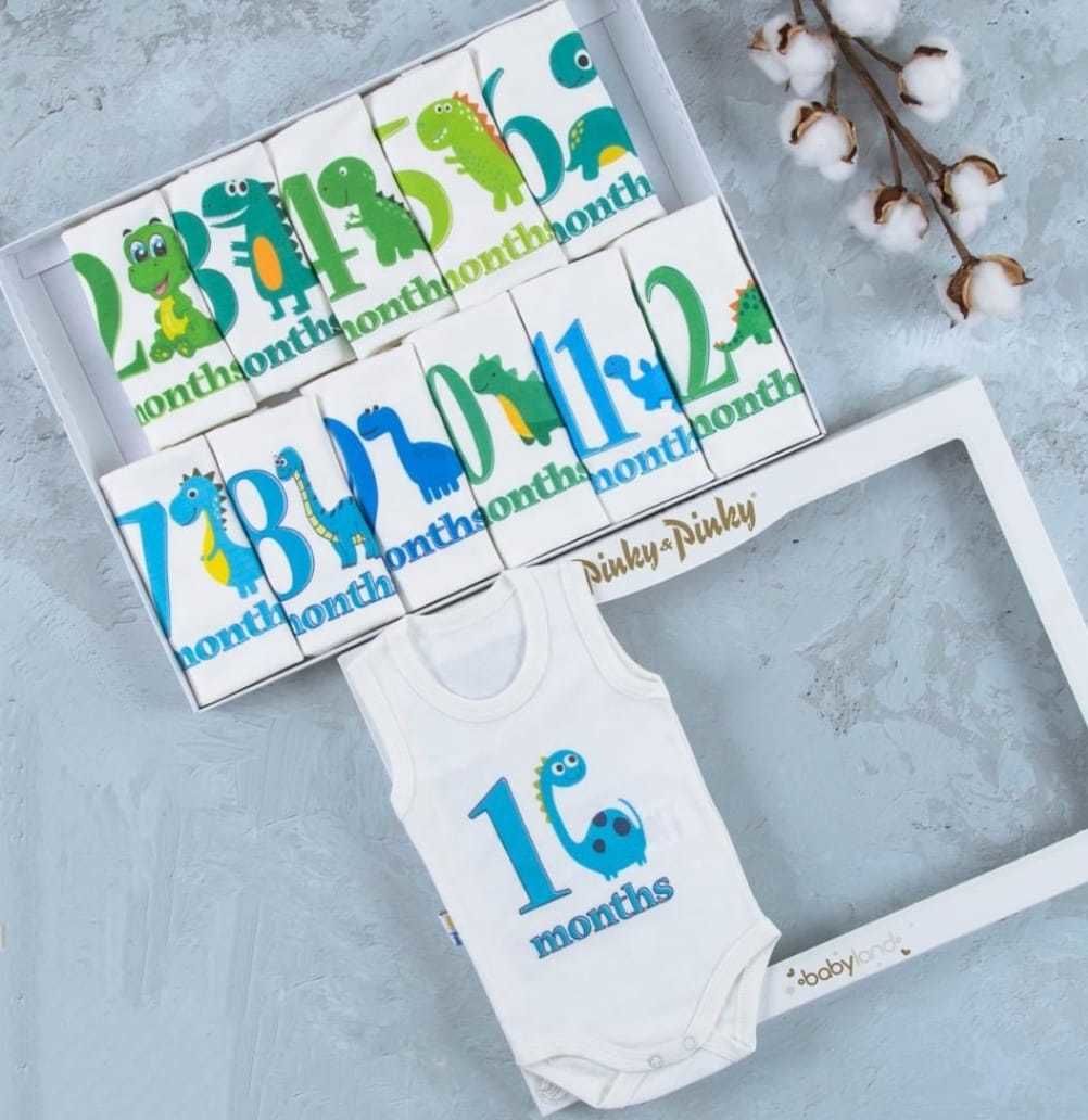 Dino Baskılı 12'li Atlet Çıtçıtlı Badi Bebek Set