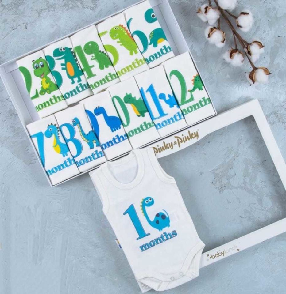 Dino Baskılı 12'li Atlet Çıtçıtlı Badi Bebek Set